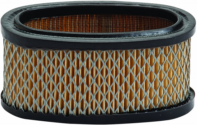 Filtru de aer motor Briggs & Stratton 11CP (220700, 252700)