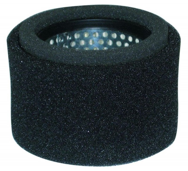Filtru de aer Robin EY1573620101, WT1-125V