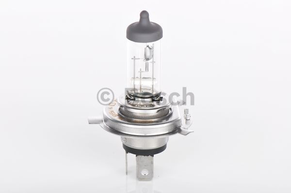Bec Bosch Extra 60 H4 12V 60/55W P43t