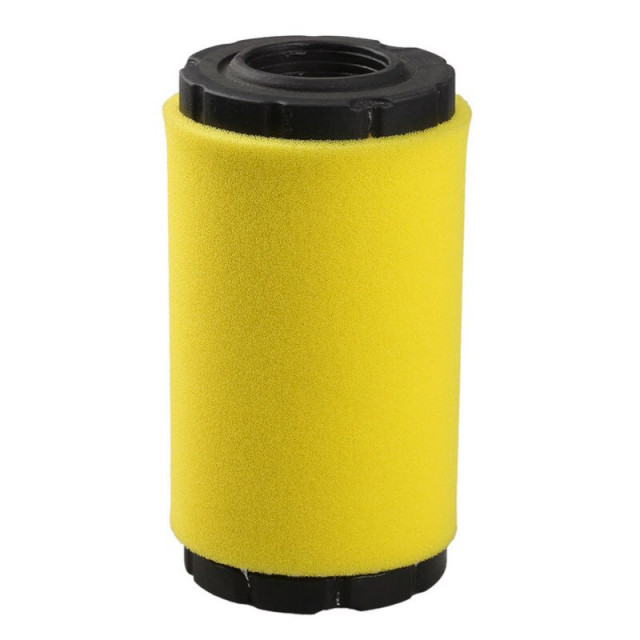 Filtru de aer motor Briggs & Stratton 793569
