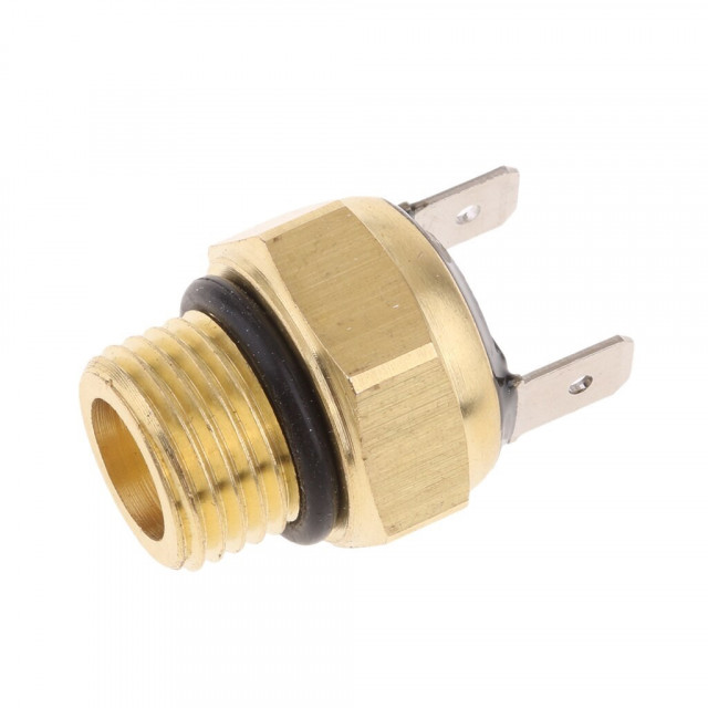ATV 300cc Termostat