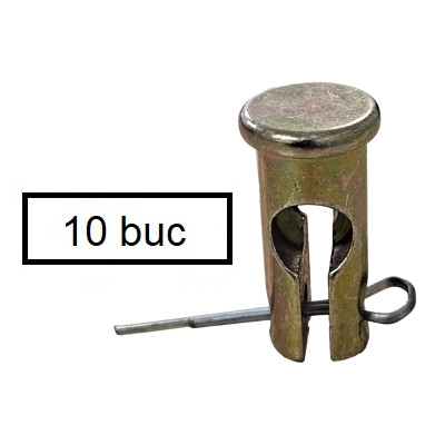 Set de șuruburi și bolțuri de forfecare pentru motosapă (10 x 24 mm) 10 bucăți