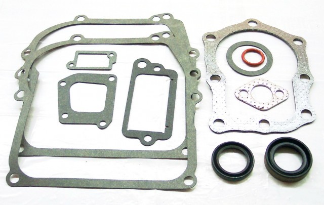 Set garnituri motor Briggs & Stratton (Seriile 110900, 111900) 4 CP