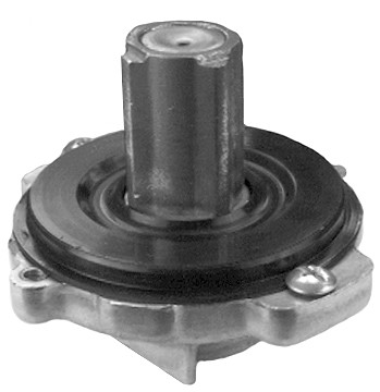 Bendix Briggs și Stratton (399671)