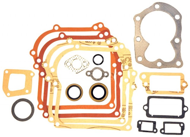 Set garnituri motor Briggs & Stratton 3.5 CP (serie 298989)