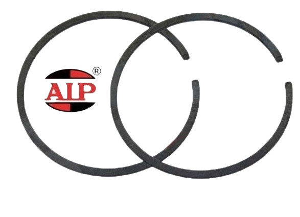 Ø 41mm x 2mm AIP Segment