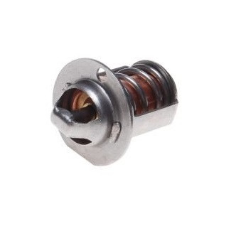 Termostat pentru scuter AM6