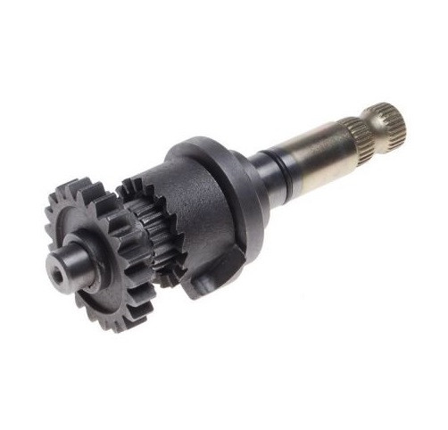 Pinion de pornire AM6