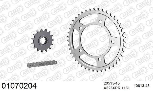 KIT LANȚ motocicletă HONDA CBF 600 2004-2007 - AFAM