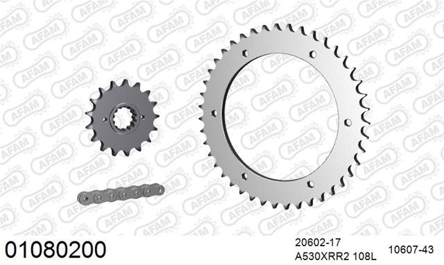 Kit lanț motocicletă Honda VFR 800 1998-2005 - AFAM 01080200