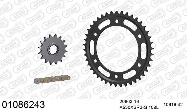 01086243 Kit Lanț Motocicletă Honda CBR 900 RR 2000-2001 - AFAM