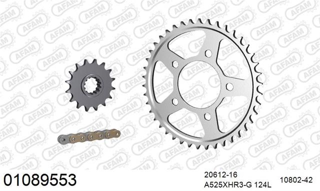 01089553 Kit Lanț pentru Motocicletă Honda CRF 1000 L Africa Twin 2016-2025 - AFAM