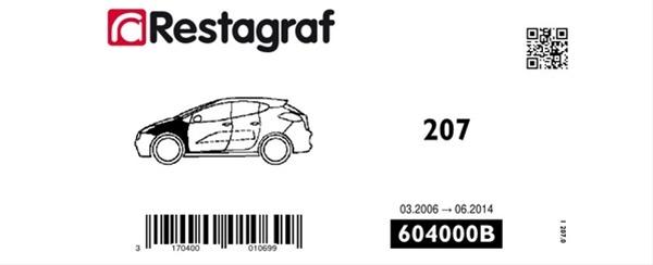 Set clipsuri pentru montaj aripă față RESTAGRAF A604000B, plastic, compatibil Peugeot 207