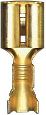 Cuplaj electric RESTAGRAF 6893