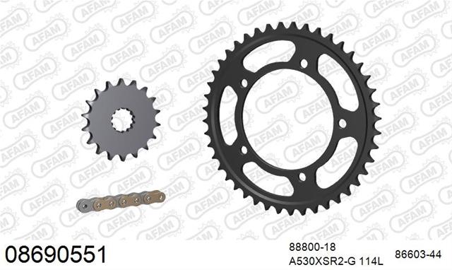 08690551 Kit Lanț Moto Triumph Tiger 1050 2007-2012 - Afam