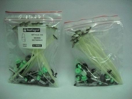 Set clipsuri auto pentru montaj ușă RESTAGRAF A519003, plastic, compatibil Skoda Octavia II