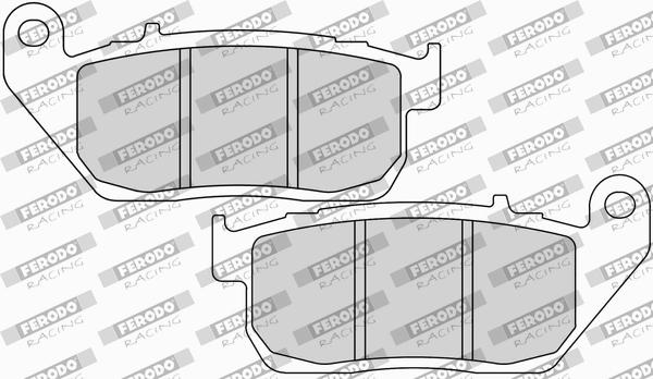 Plăcuțe de frână FERODO RACING FDB2179P