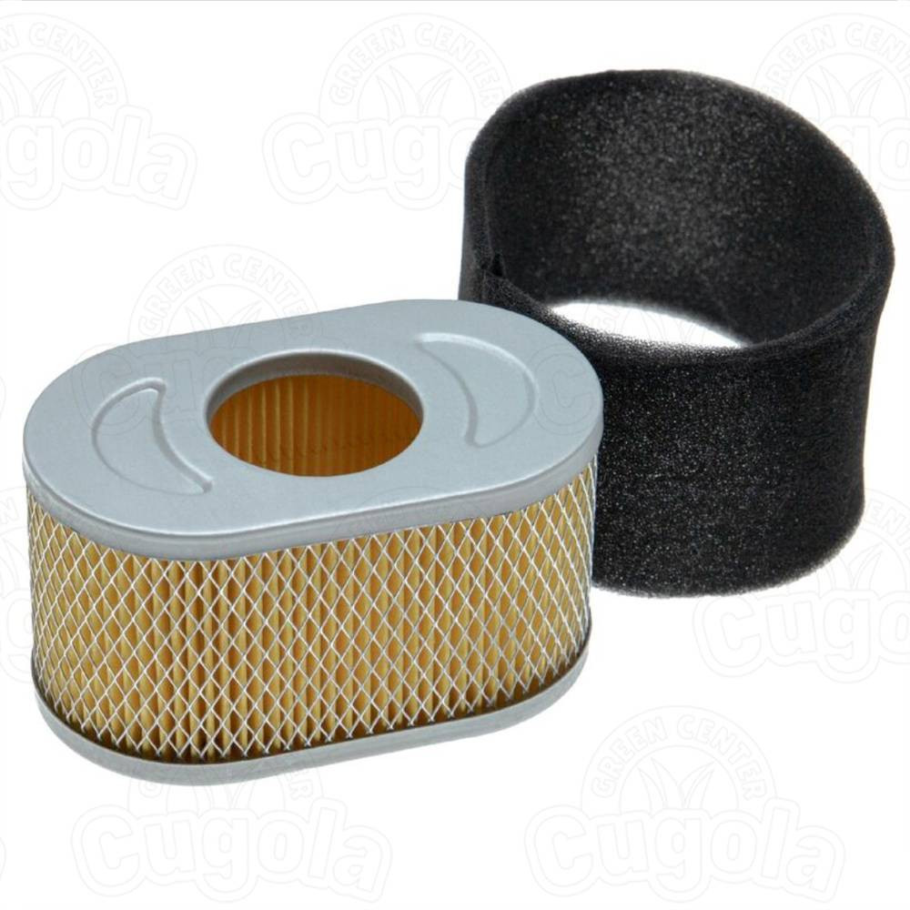 Filtru de aer pentru motor Briggs & Stratton 797033