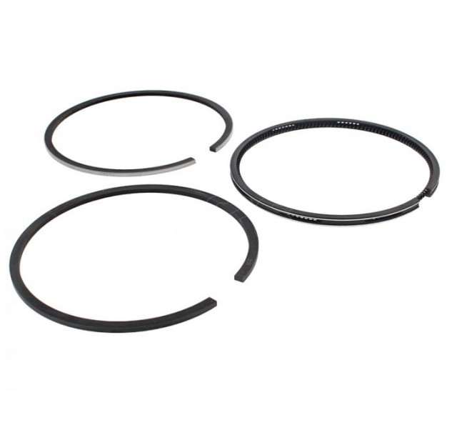 Segmenti pentru motosapa diesel 170F (70mm)